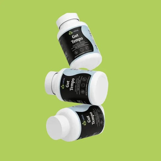 Gut Tempo Enzyme + Biotics