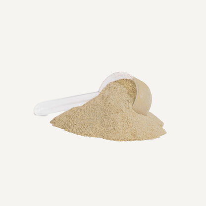 Plant Protein (Vanilla)