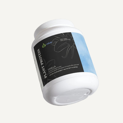 Plant Protein (Vanilla)