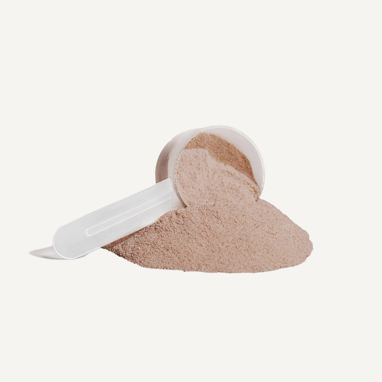 Plant Protein (Chocolate)