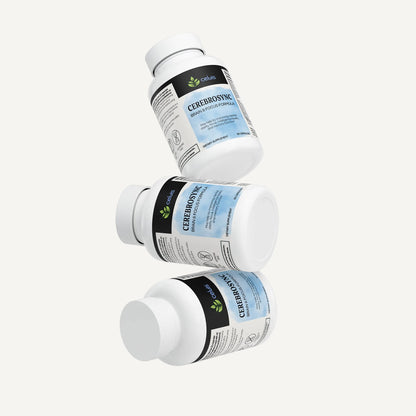 CerebroSync