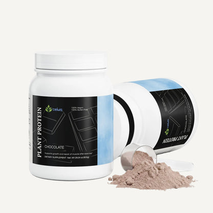 Plant Protein (Chocolate)