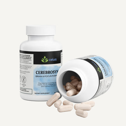 CerebroSync